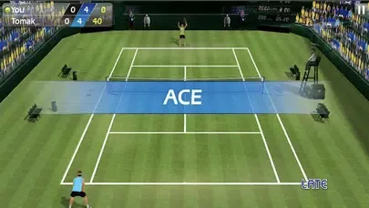 3D TENNIS Screenshots