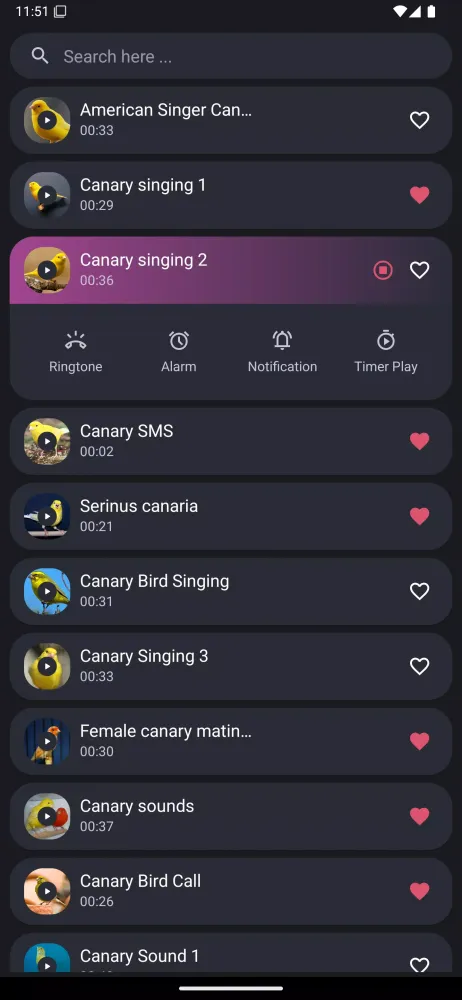 Canary Bird Sounds Screenshots