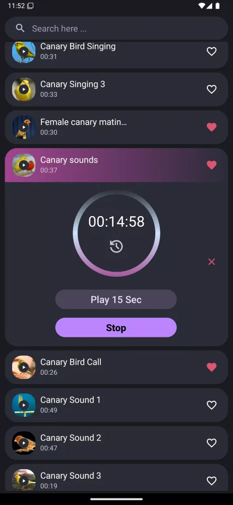 Canary Bird Sounds Screenshots
