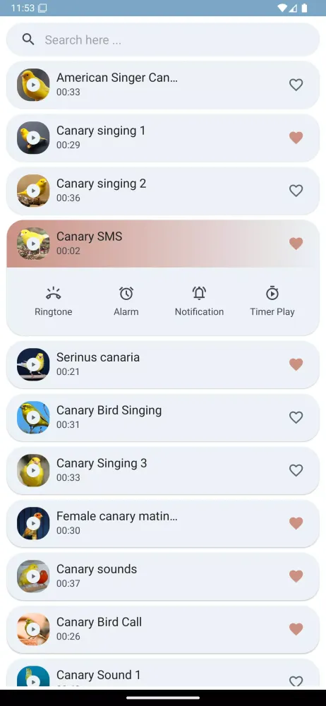 Canary Bird Sounds Screenshots