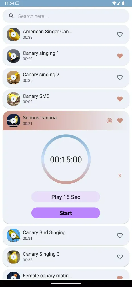 Canary Bird Sounds Screenshots