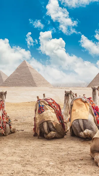 Tangkapan layar Cairo Wallpapers