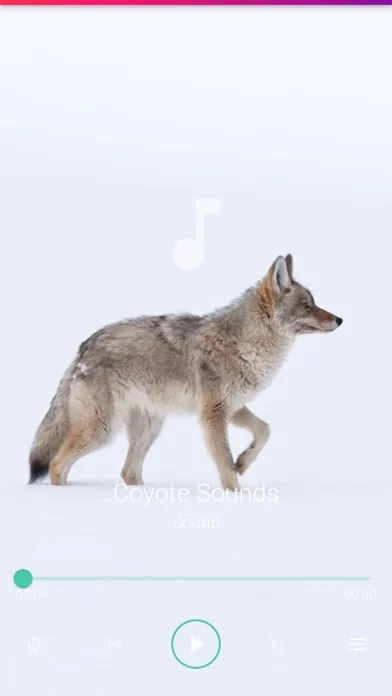 Coyote Sounds Pro Ekran Görüntüleri