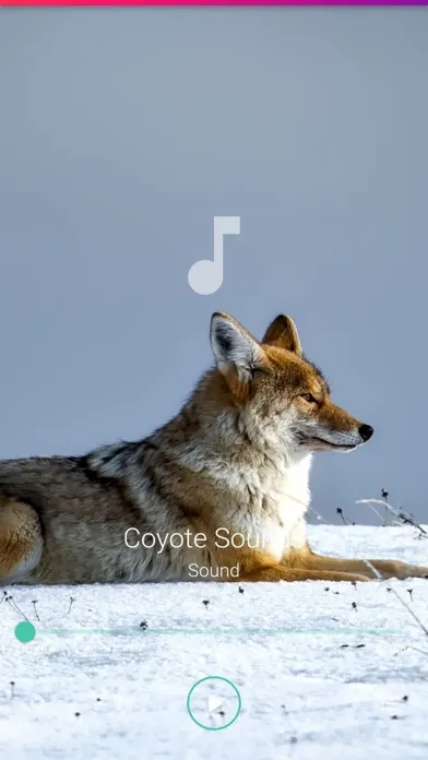 Coyote Sounds Pro Ekran Görüntüleri