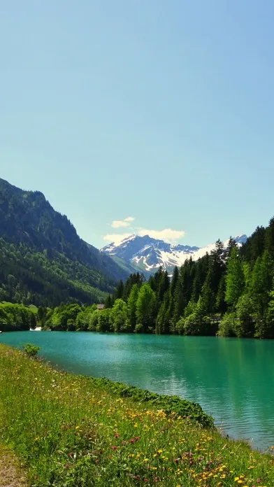 ภาพหน้าจอของ Liechtenstein Wallpapers