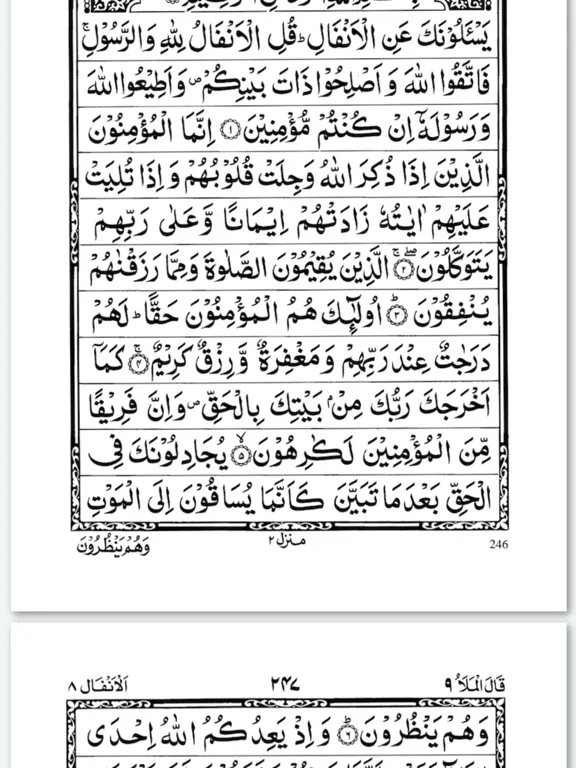Quran in Arabic Book of Allah iPad  スクリーンショット