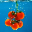 Vegetable Recipes Plus