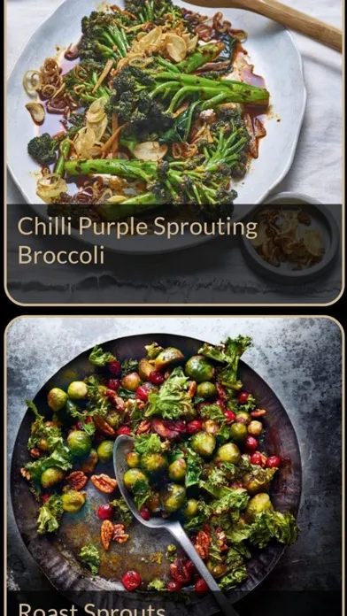 Скриншоты Vegetable Recipes Plus