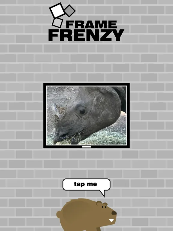 تصاویر Frame Frenzy iPad 