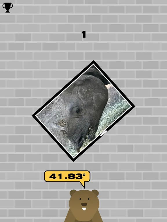 تصاویر Frame Frenzy iPad 