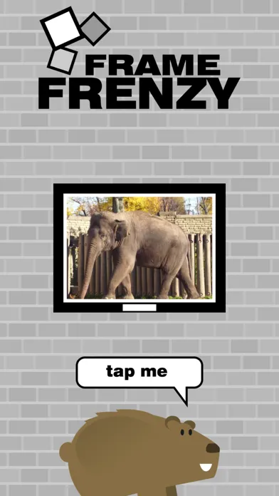 تصاویر Frame Frenzy