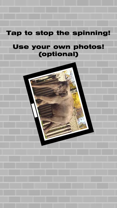 تصاویر Frame Frenzy
