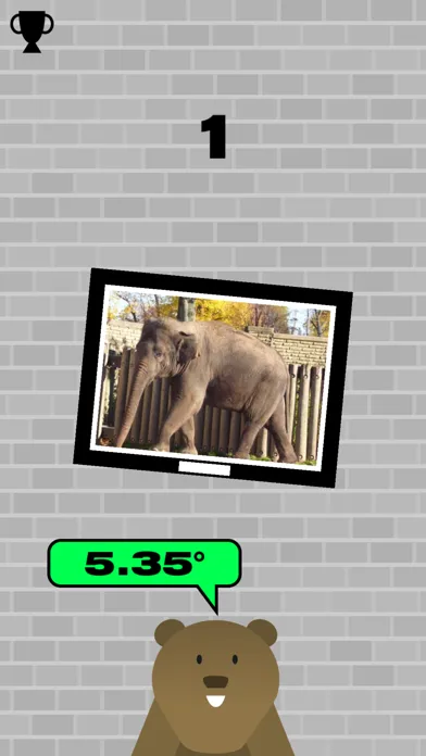 تصاویر Frame Frenzy