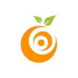 Tangerine Life Tangerine Life