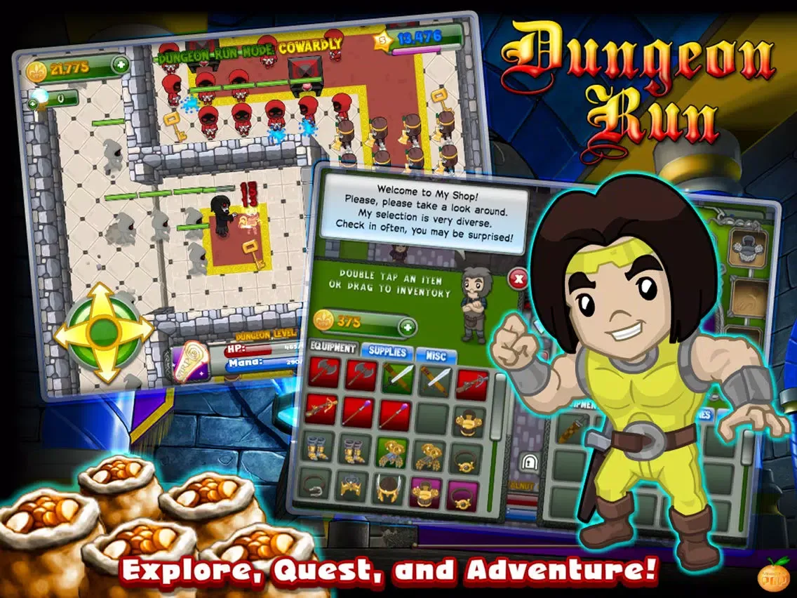 Tangkapan skrin Dungeon Run: Blackroost Keep iPad 