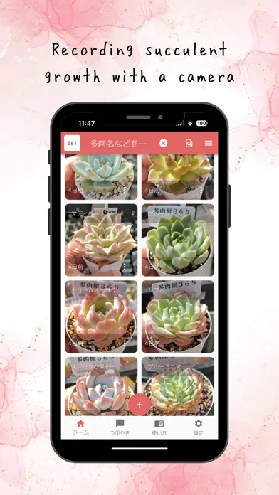 Ảnh chụp màn hình của TANIPATO-Succulent Photo&Diary
