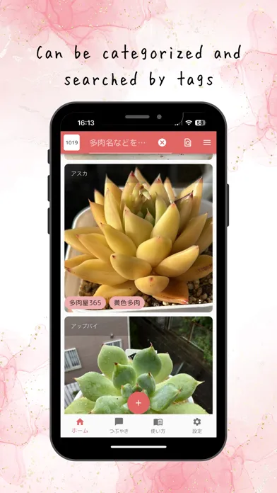 Ảnh chụp màn hình của TANIPATO-Succulent Photo&Diary