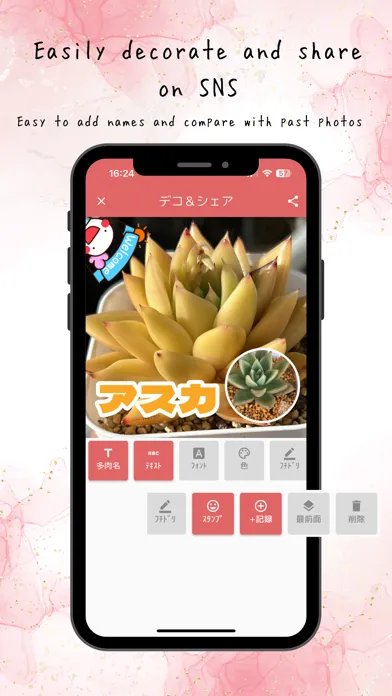 Ảnh chụp màn hình của TANIPATO-Succulent Photo&Diary