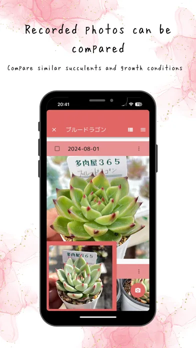 Ảnh chụp màn hình của TANIPATO-Succulent Photo&Diary