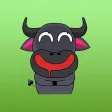 BunBun Black Buffalo Expression