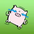 PigPig Expression