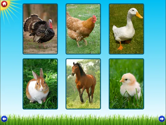 Farm Sounds by TantrumApps iPad  스크린샷