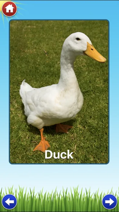 تصاویر Farm Sounds Lite - Fun Animal Noises for Kids
