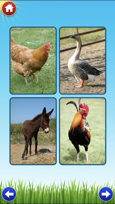 تصاویر Farm Sounds Lite - Fun Animal Noises for Kids