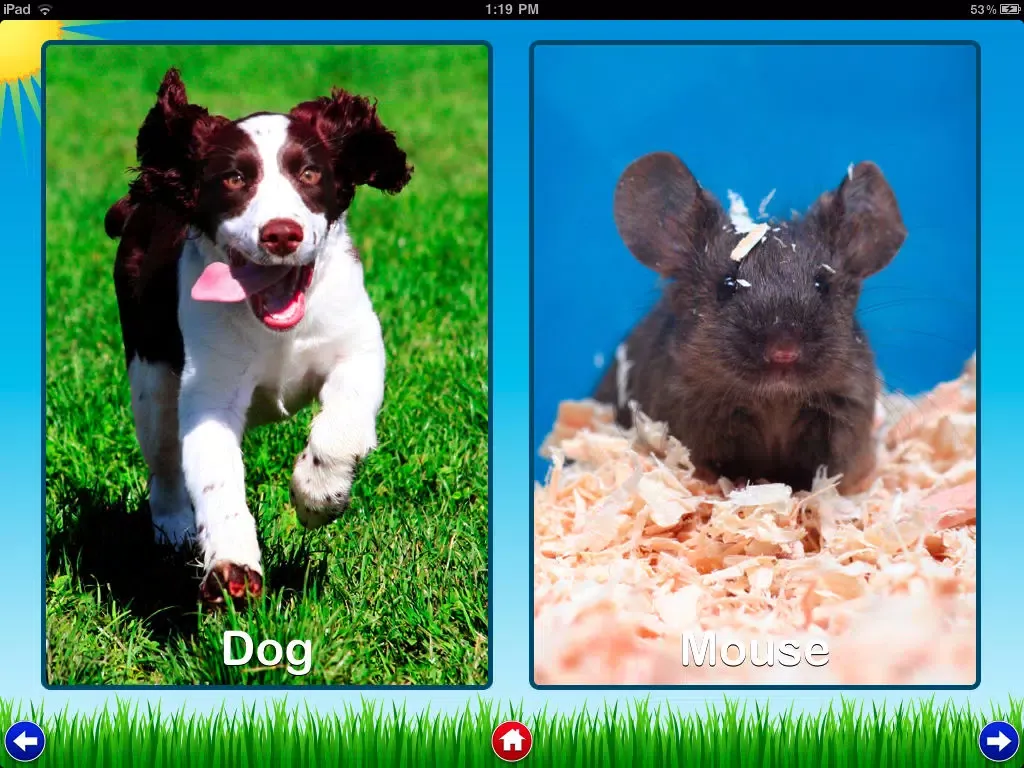Pet Sounds - Fun Animal Noises for Kids iPad 应用截图