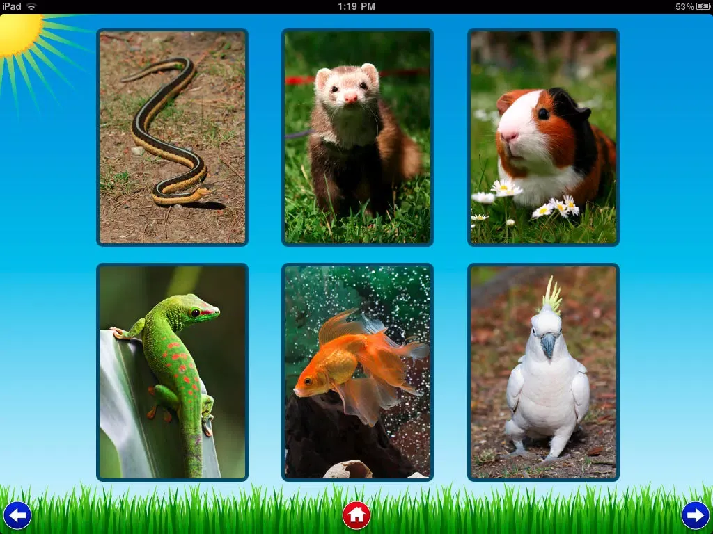 Pet Sounds - Fun Animal Noises for Kids iPad 应用截图