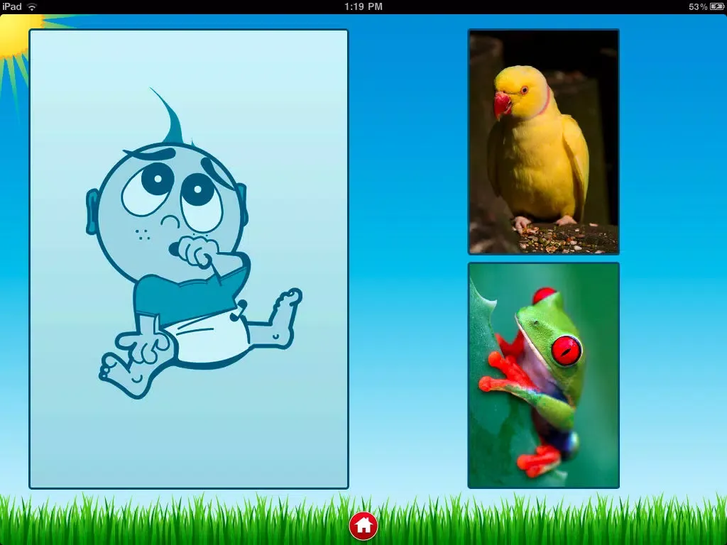 Pet Sounds - Fun Animal Noises for Kids iPad 应用截图