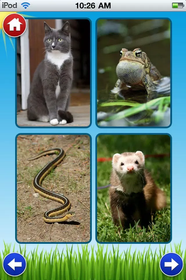 Pet Sounds - Fun Animal Noises for Kids应用截图