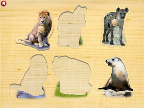 ภาพหน้าจอของ Zoo Sounds - Fun Educational Games for Kids iPad 