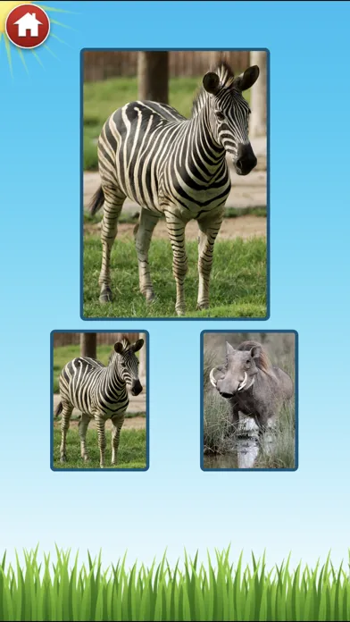 ภาพหน้าจอของ Zoo Sounds - Fun Educational Games for Kids