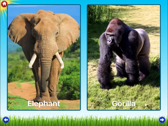 Zoo Sounds Lite - A Fun Animal Sound Game for Kids iPad  Screenshots