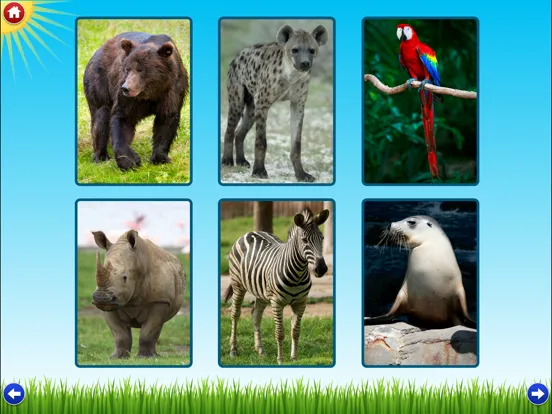 Zoo Sounds Lite - A Fun Animal Sound Game for Kids iPad  Screenshots