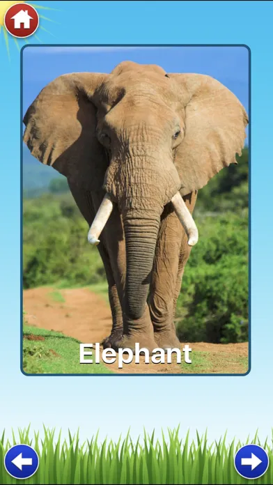 Zoo Sounds Lite - A Fun Animal Sound Game for Kids Screenshots