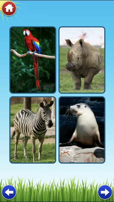 Zoo Sounds Lite - A Fun Animal Sound Game for Kids Screenshots