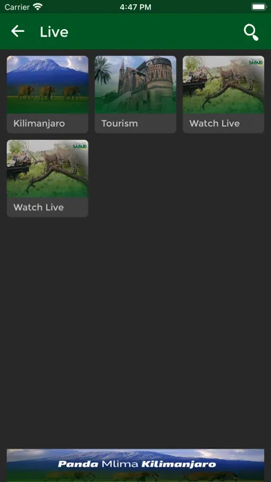 صور Tanzania Safari Channel