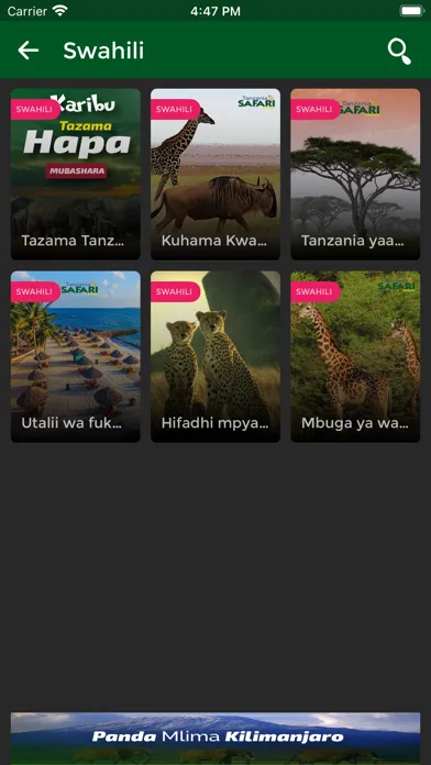 صور Tanzania Safari Channel