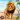 Savanna Safari: Land of Beasts