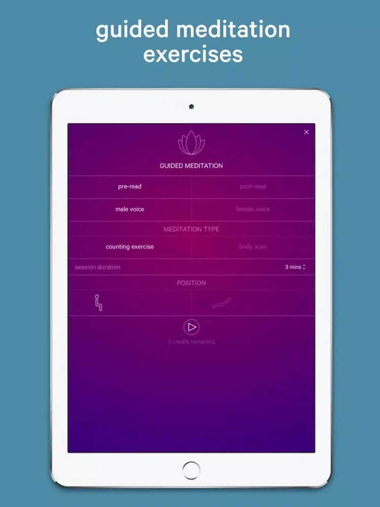 Siddhartha - An Indian Tale iPad 应用截图