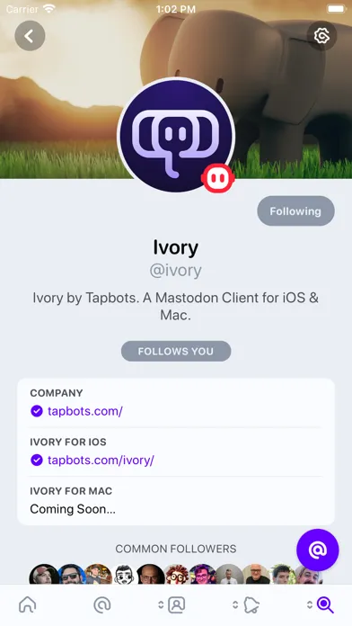 ภาพหน้าจอของ Ivory for Mastodon by Tapbots