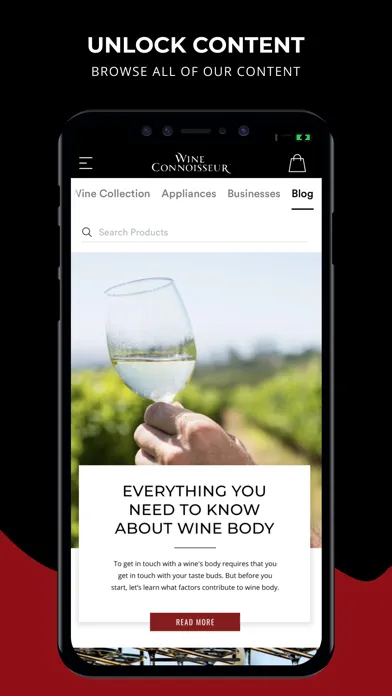 Tangkapan layar Wine Connoisseur Shop