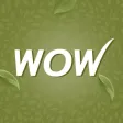Buywow Online Beauty Shopping