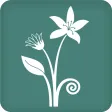 Great Garden Plants