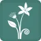 Great Garden Plants