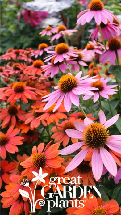 Great Garden Plants Screenshots