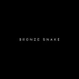 BRONZE SNAKE BRONZE SNAKE