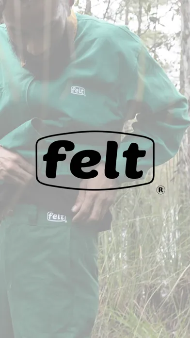 Felt - For Every Living Thing Screenshots